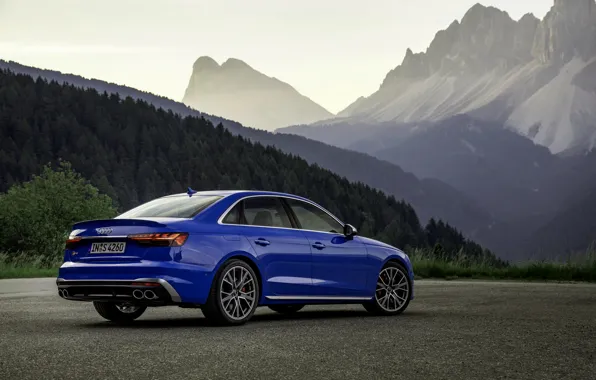 Blue, Audi, tops, sedan, Audi A4, Audi S4, 2019