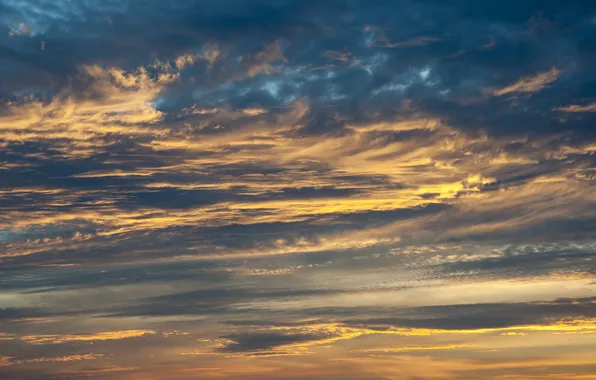 Picture the sky, clouds, clouds, dawn, sunlight