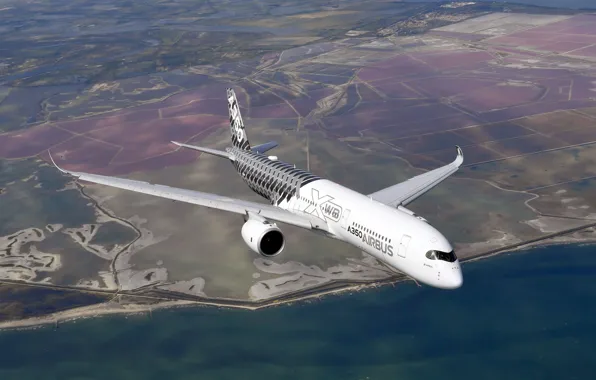 The plane, Liner, Shore, Airbus, Airbus A350-900, A passenger plane, Airbus A350 XWB