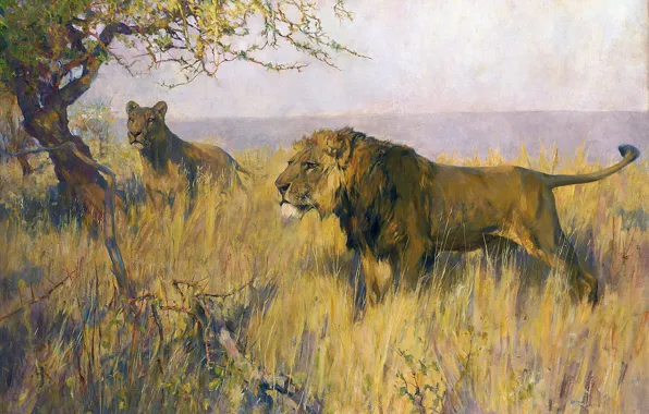 Picture Tree, Grass, Picture, Leo, Two, Arthur Wardle, British artist, Big Cats