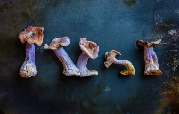 Background, mushrooms, food