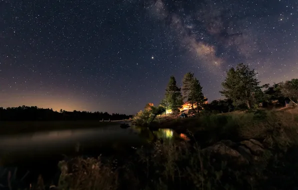 Forest, stars, trees, night, lights, lake, reflection, stones