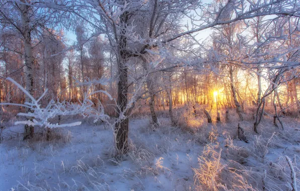Picture winter, landscape, sunset, nature, landscapes, weather, Orsk, Orenburzhye