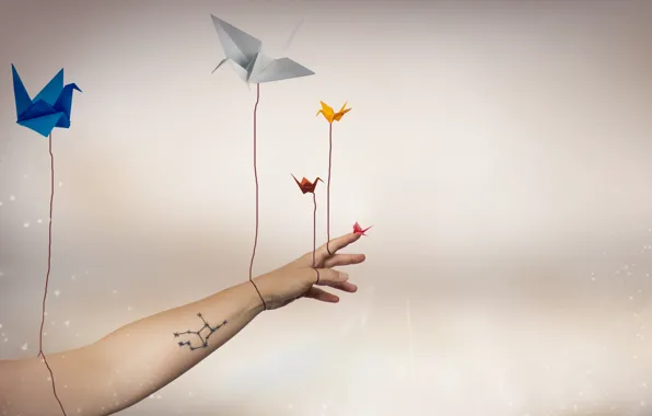 Background, hand, cranes