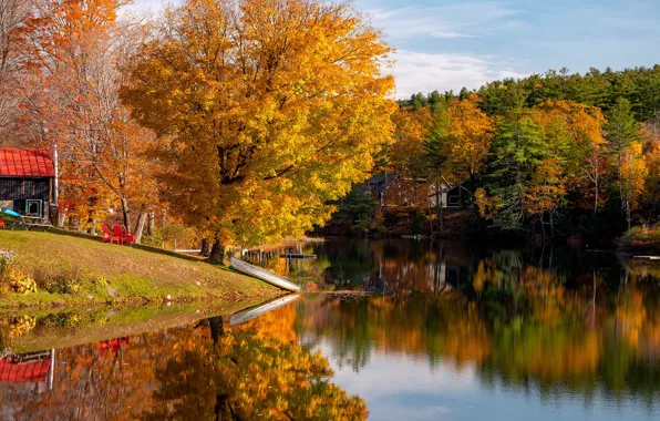 Picture trees, water, Vermont, the sun, river, autumn, USA, boat
