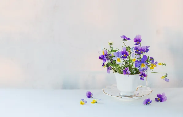 Flowers, table, Cup, viola, Maya Kruchenkova