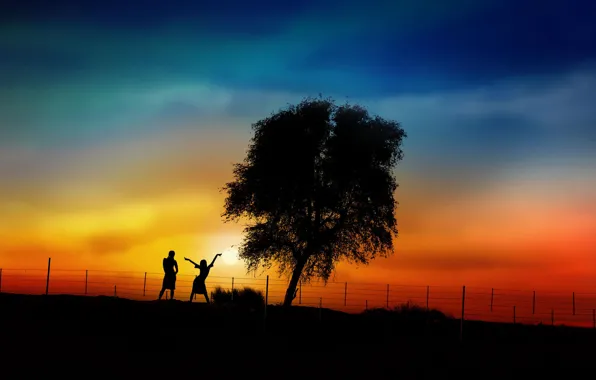 Picture sunset, girls, tree, silhouettes