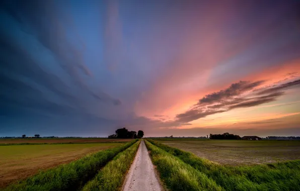 Road, field, sunset