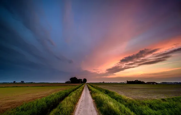 Picture road, field, sunset