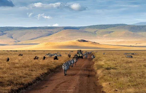 Road, field, machine, landscape, mountains, nature, pasture, Savannah