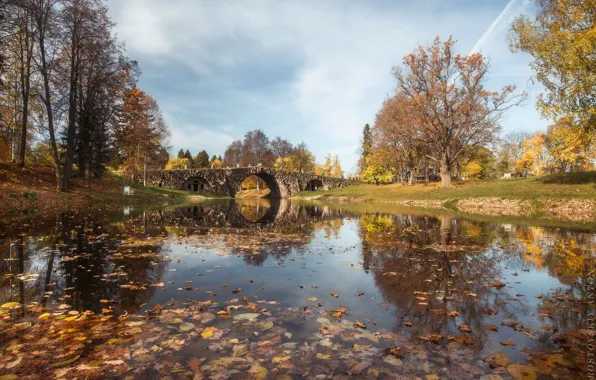 Autumn, the sky, leaves, trees, bridge, nature, peispi, Anton Rostov