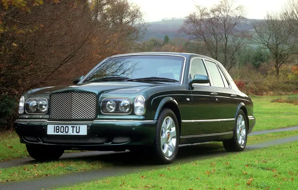 Picture grass, trees, green, bentley, the front, Bentley, the Arnage R, arnage r