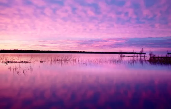 The sky, grass, clouds, sunset, lake