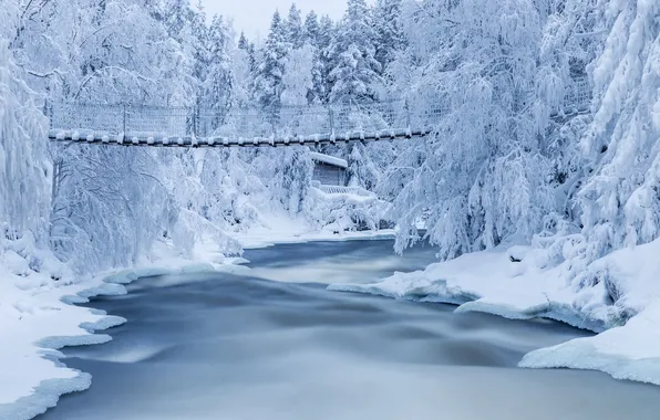Picture winter, snow, river, the bridge