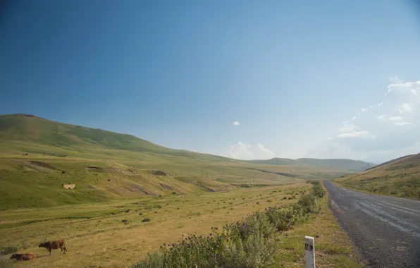 The sky, Clouds, Field, Road, Mountains