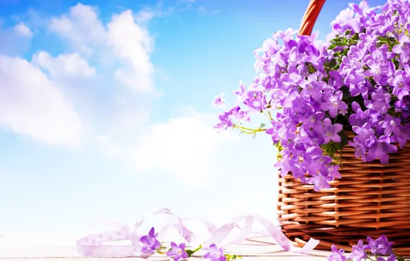 Picture the sky, clouds, flowers, bells, basket