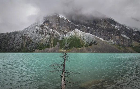 The sky, clouds, mountains, clouds, lake, Canada, Albert, Lake Louise
