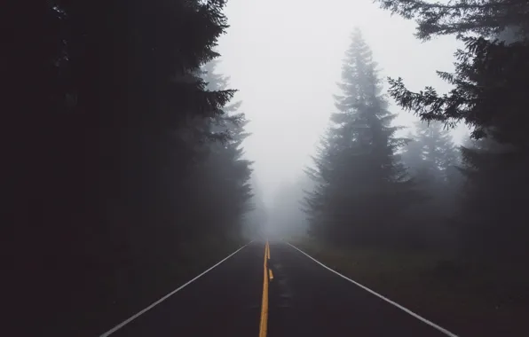 Road, forest, nature, fog, haze