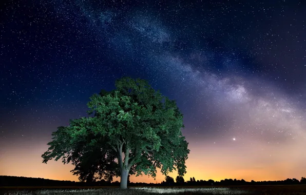 The sky, landscape, night, nature, stars, Poland, the milky way