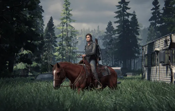 Ellie, The Last of Us, Naughty Dog, Some of us, Ellie, PS4, Survival, Games Survival