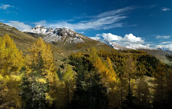 Autumn, trees, mountains, Austria, Alps, Austria, Alps, Salzburg
