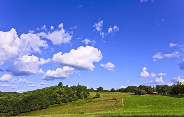 The sky, Nature, Clouds, Photo, Field, Grass, Trees, Forest