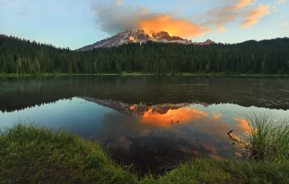 Forest, mountains, nature, lake, dawn