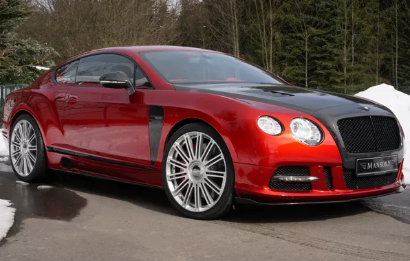 Bentley, Continental, Mansory, Sanguis