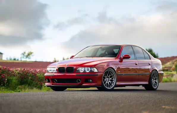 Picture BMW, Red, Clouds, E39, Road, M5