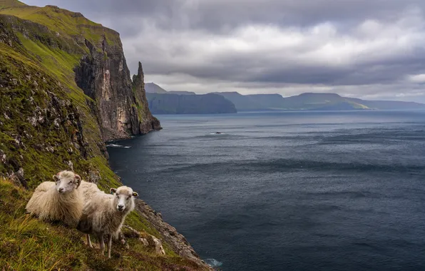 Sea, clouds, mountains, fog, stones, open, overcast, rocks