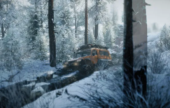 HDR, Wood, Winter, Tree, Lights, Snow, Game, Ice
