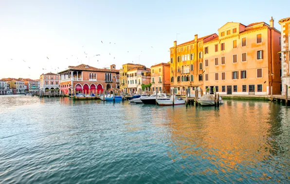 Picture boat, seagulls, home, Italy, Venice, channel