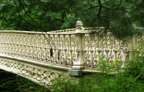 Picture bridge, New York, bridge, New York, Central Park, Central park