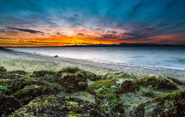 Picture STONES, SEA, HORIZON, The OCEAN, The SKY, CLOUDS, COAST, SHORE