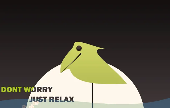 Water, bird, bird, brown, dont worry, just relax