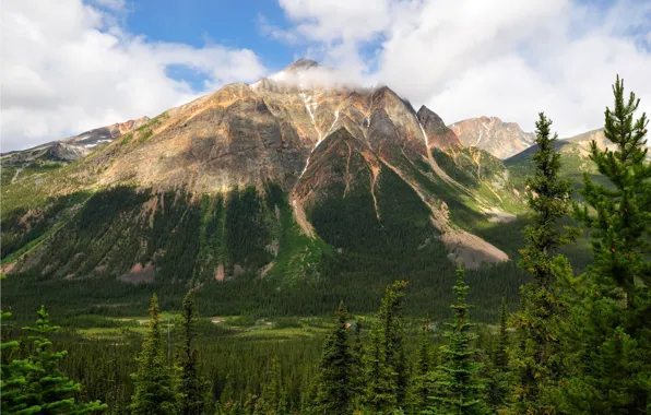 Picture the sky, trees, mountains, Canada, Albert, Jasper National Park, Pyramid Mountain