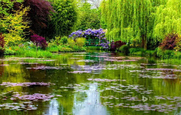 Picture bridge, France, spring, pond, Normandy, Giverny, Monet's garden
