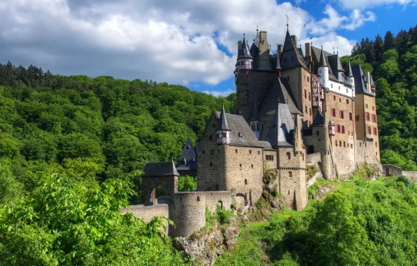 The sky, Trees, Castle