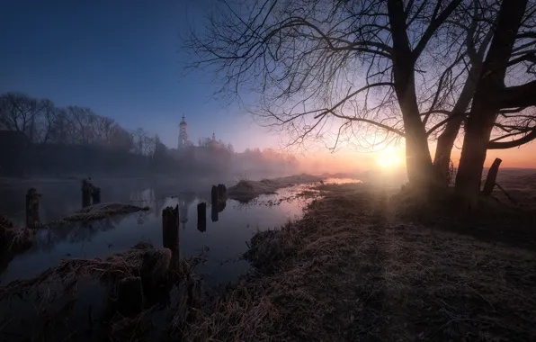 The sun, trees, landscape, nature, river, village, spring, morning