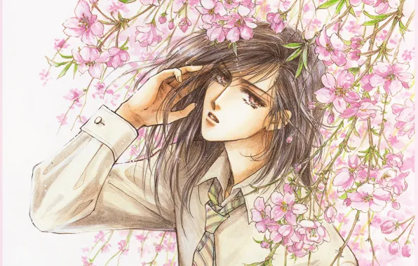 Picture Sakura, tie, shirt, guy, manga, flowering, long hair, art