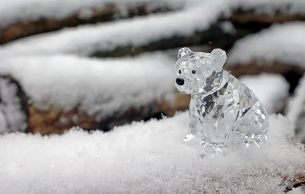 Winter, holiday, new year, bear, HD wallpapers