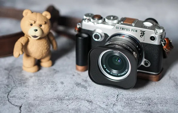 Picture toy, the camera, lens
