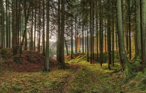 Autumn, trees, Park, Germany