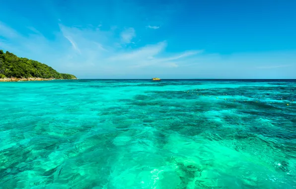 Wallpaper nature, summer, sea, tropics, stay