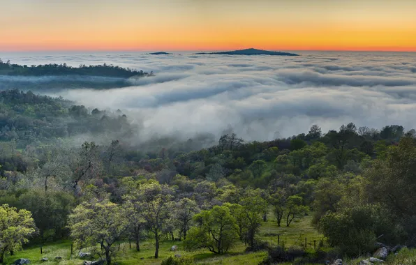 Mountains, fog, panorama, USA, USA, multi monitors, autumn in the mountains, Midpines