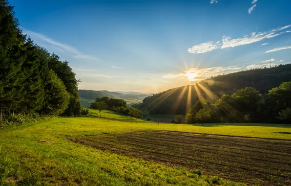Picture field, forest, the sky, the sun, rays, valley