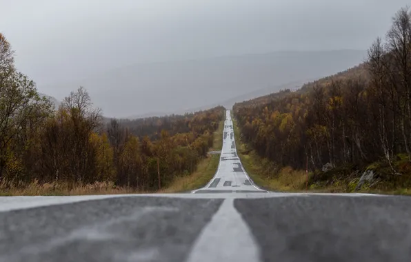 Road, mountains, fog, power lines, rainy