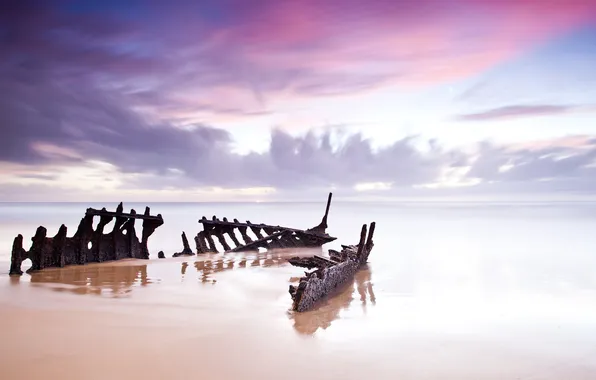 Sea, beach, the sky, skeleton