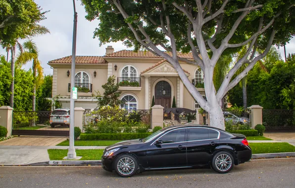 Trees, house, street, CA, USA, cars, Beverly Hills, Beverly Hills