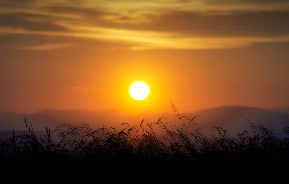 The sun, clouds, sunset, mountains, stems, horizon